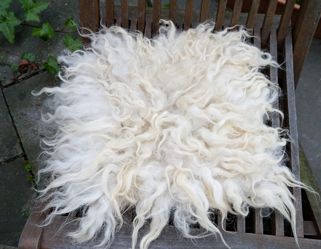Rohwolle verarbeiten, VeggieFellchen filzen Helena Hermann Atelier für Filzkunst Rohwolle verarbeiten, VeggieFellchen filzen Helena Hermann Atelier für Filzkunst