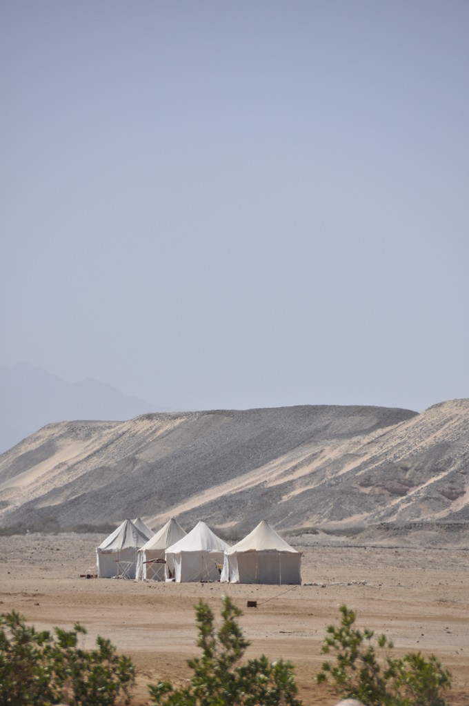 camp de toile Wadi Lahami 