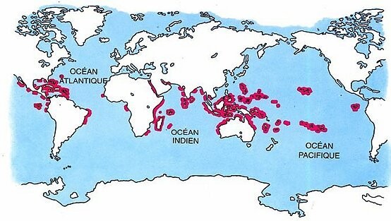 Répartition géographique des coraux scléractiniaires