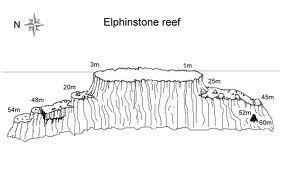 Elphinstone reef