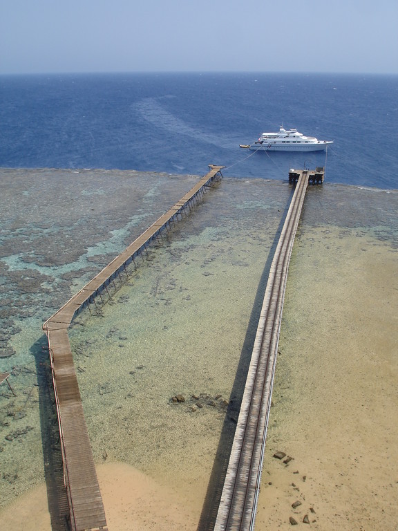 Daedalus reef (Abu Kizan, Dedalus)