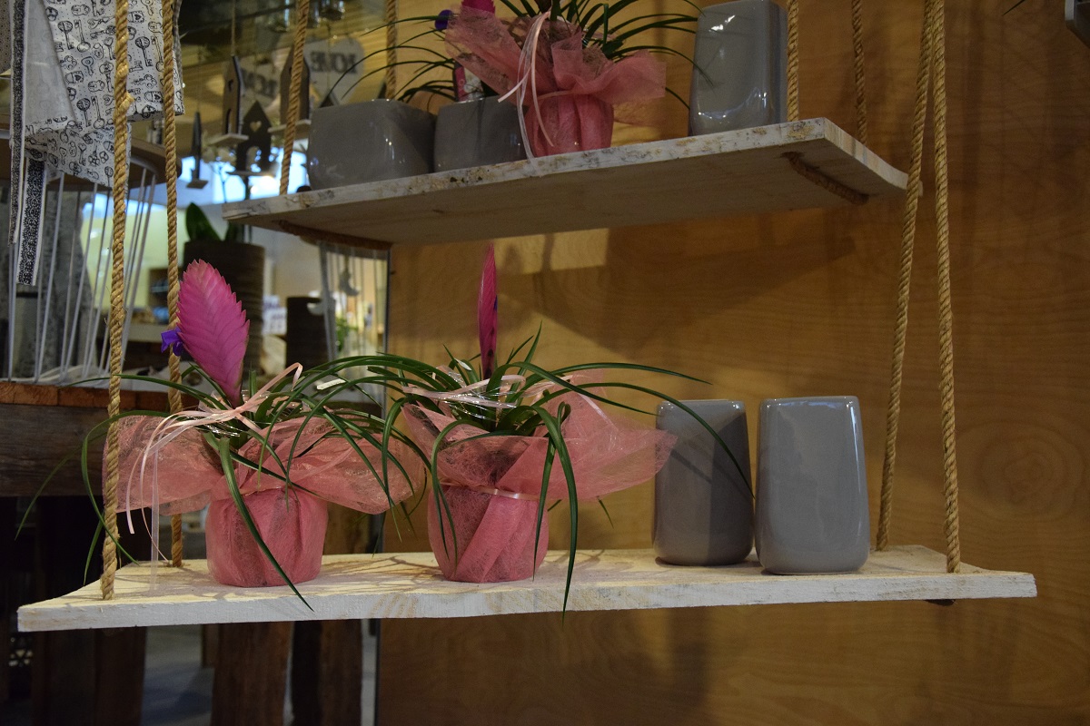 Blumen Hagen - Lustenau