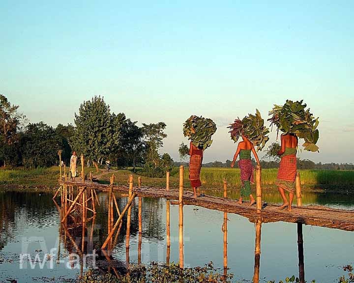 Auf dem Heimweg, Majuli