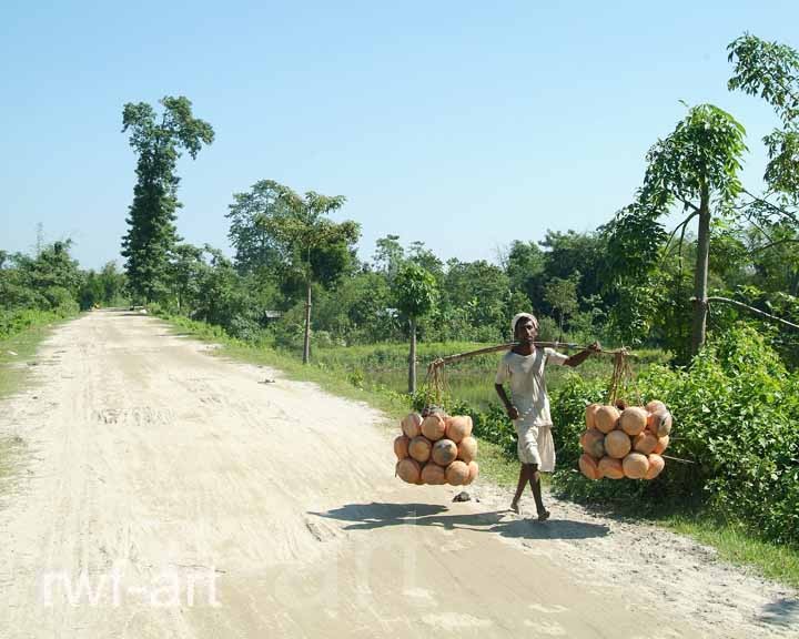 Töpfer auf  dem Weg zum Makt, Majuli