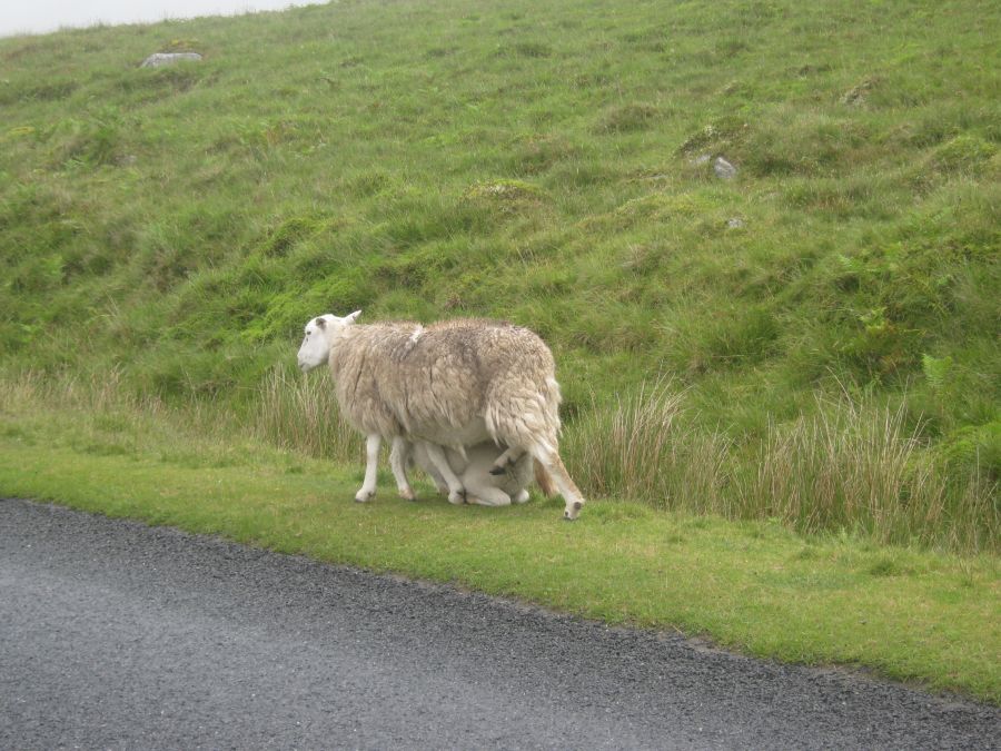 Brecon Beacons National Park, Wales