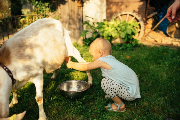 Die 26 Besten Bilder Zu Familienaktivitaten Offenburg In 2020