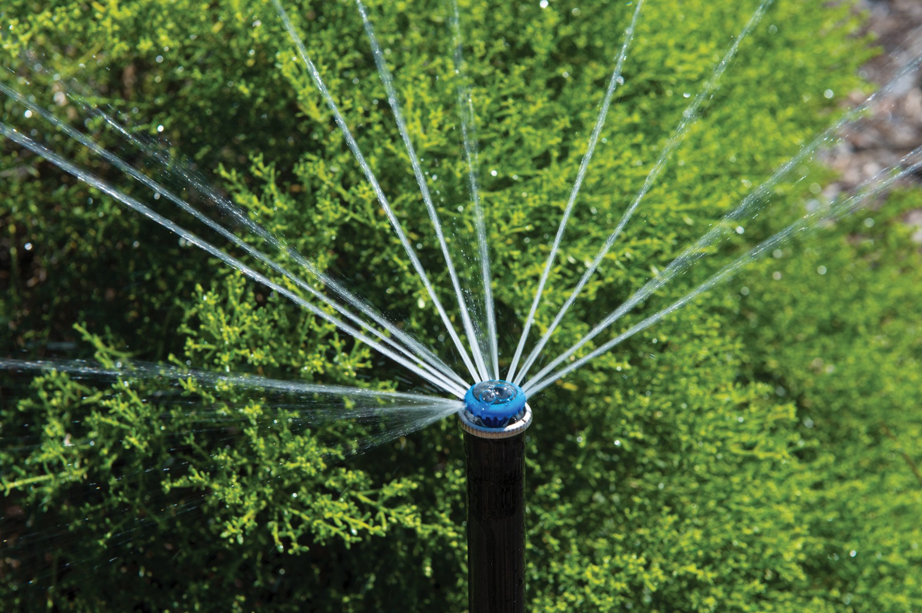 aqua.naturale Bewässerung Köln, Bonn, Düsseldorf Bewässerung