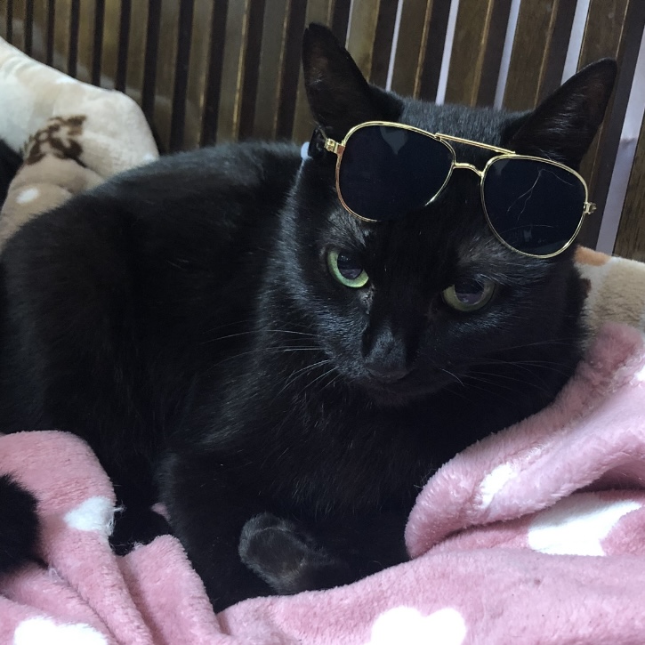 クロちゃん副塾長の生い立ち