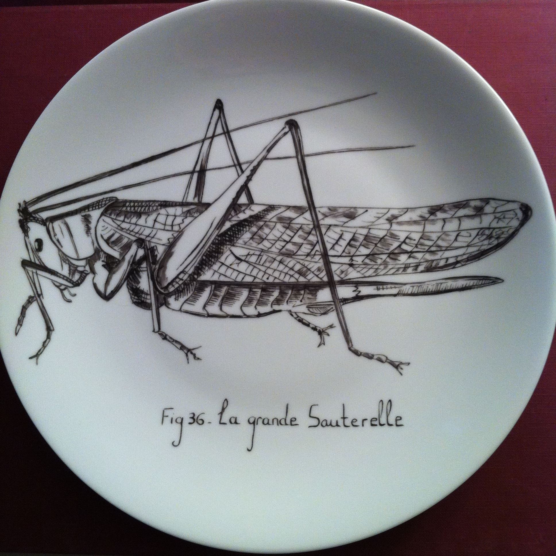 Grande assiette D 26 cm