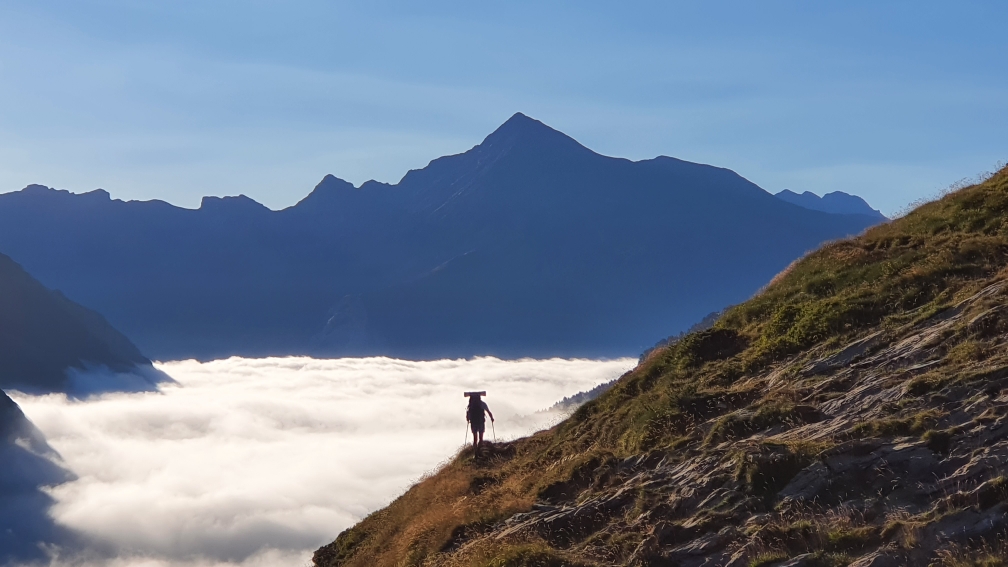Morgennebel im Tal