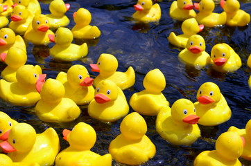 Copyright Babyspass.ch (c) Babyspass.ch