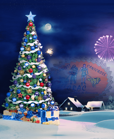Le CRAC vous souhaite à tous un très joyeux noël !