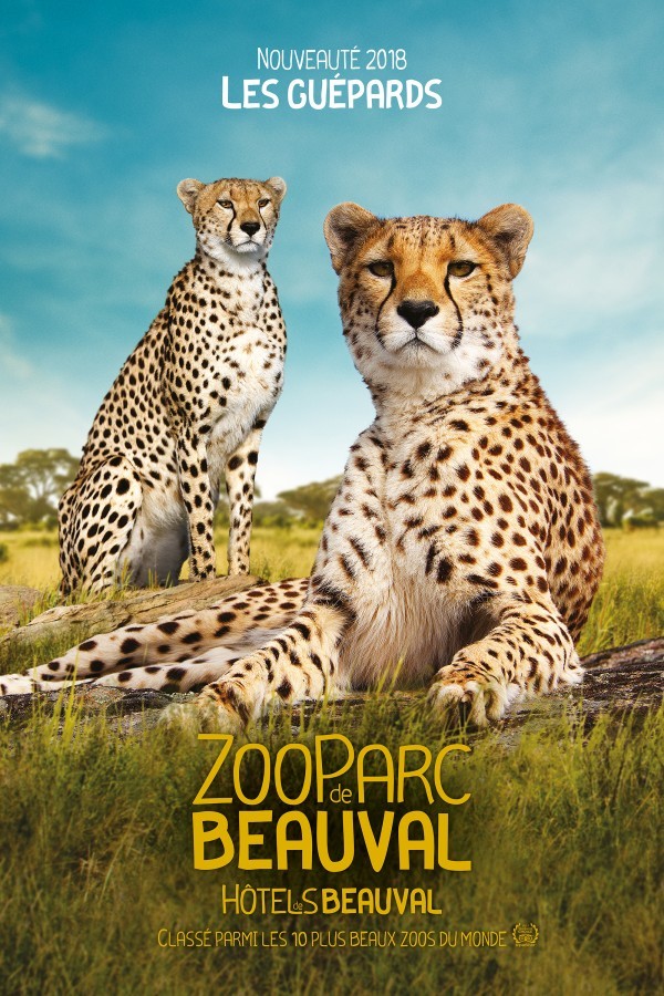 Zooparc De Beauval Gîte Beauval