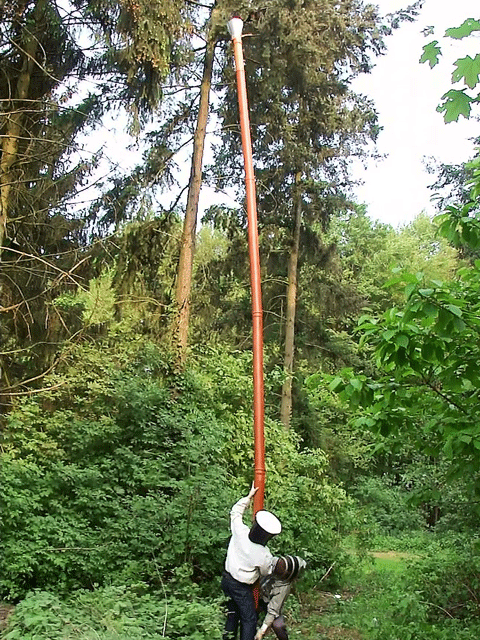 Ein Schwarmfangrohr in Aktion