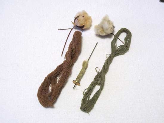 茶色と緑色のコットンボール(上)、スピンドルとより糸(中央)、煮た後(横)Photo by Cindy Conner