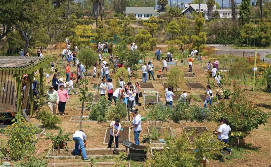 市全域の地域イベントにて、生徒、親、教師がロサンゼルスの24th Street Elementary School の菜園で作業。