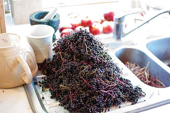 簡単なハーブの  オイル、軟膏、 シロップ作り