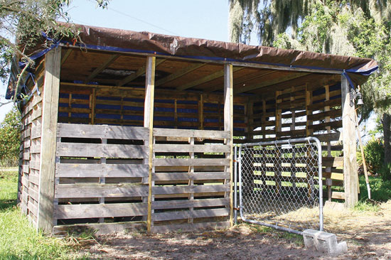 廃材の木製パレットで作った二人の牛小屋。