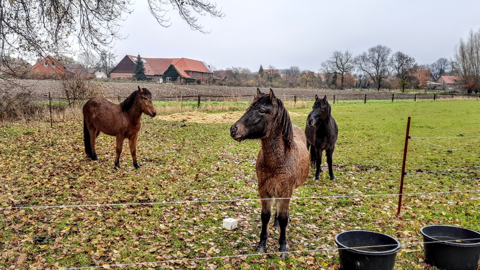 Aufmerksame Zuschauer