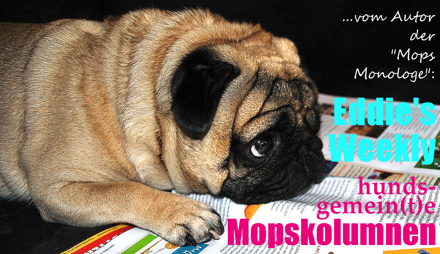 Mops Zitate Und Spruche