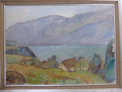 Blick auf den Walensee