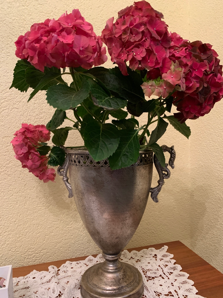 … lass Blumen sprechen…
