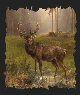 Wer waren die Cherusker? - Die Cherusker