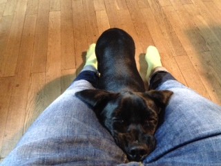 Kuschelina :)