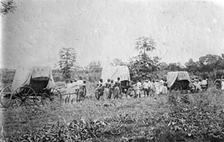 Baumwolltransport in Togo. In der Petition wurden oft auch die Bedingungen dieser harten Arbeit geschildert. Wikimedia Commons/ Bundesarchiv, Bild 137-003030 (Lizenz CC-BY-SA 3.0 DE).*