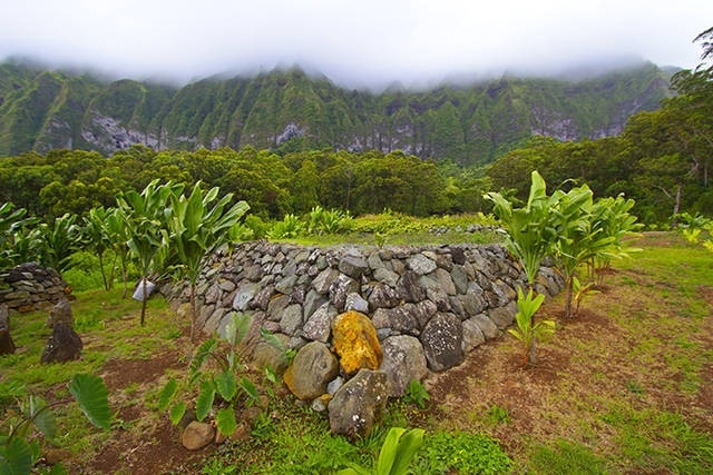 Hawaiian Grave where bones were reburied
