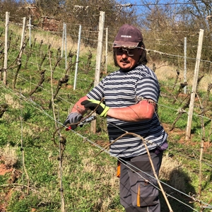 IM WEINBERG | REBERZIEHUNG: BIEGEN & BINDEN