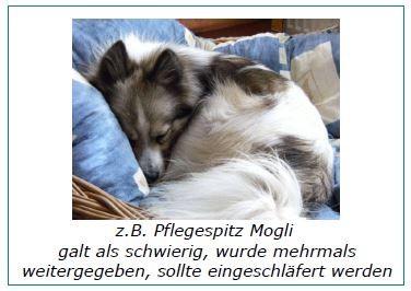 Mittelspitz Mogli