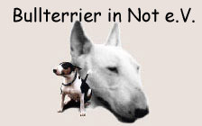 Bullterrier in Not e.V.