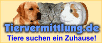 Tiervermittlung