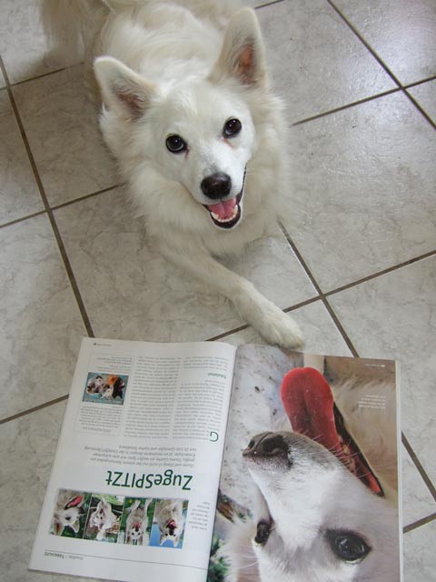 goethe der hund ganslosser strodtbeck