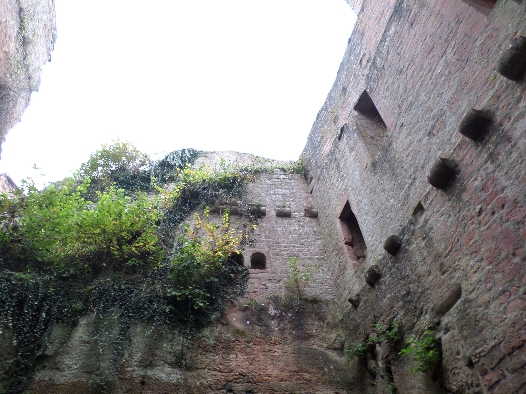 Wanderung auf die Burg Frankenstein Wandern in der Pfalz