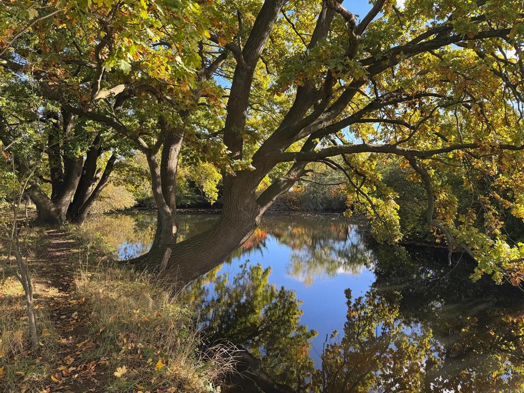 Foto Frank Spänig