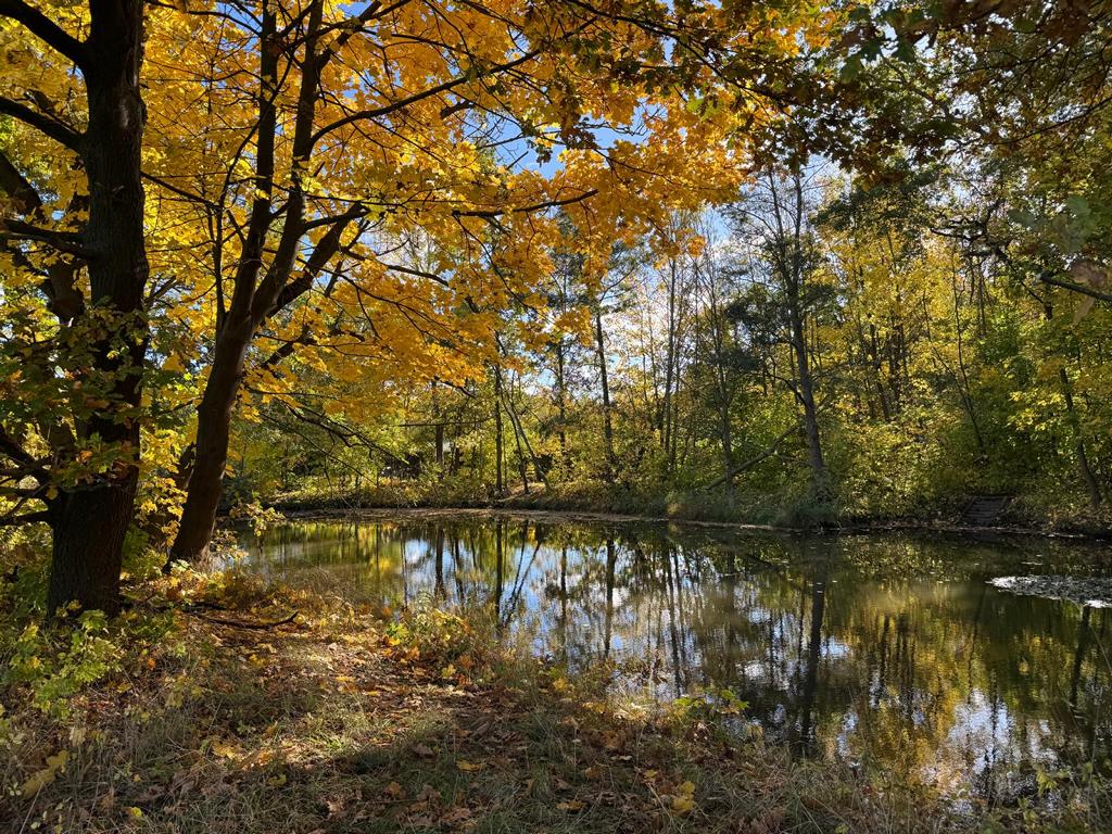 Foto Frank Spänig