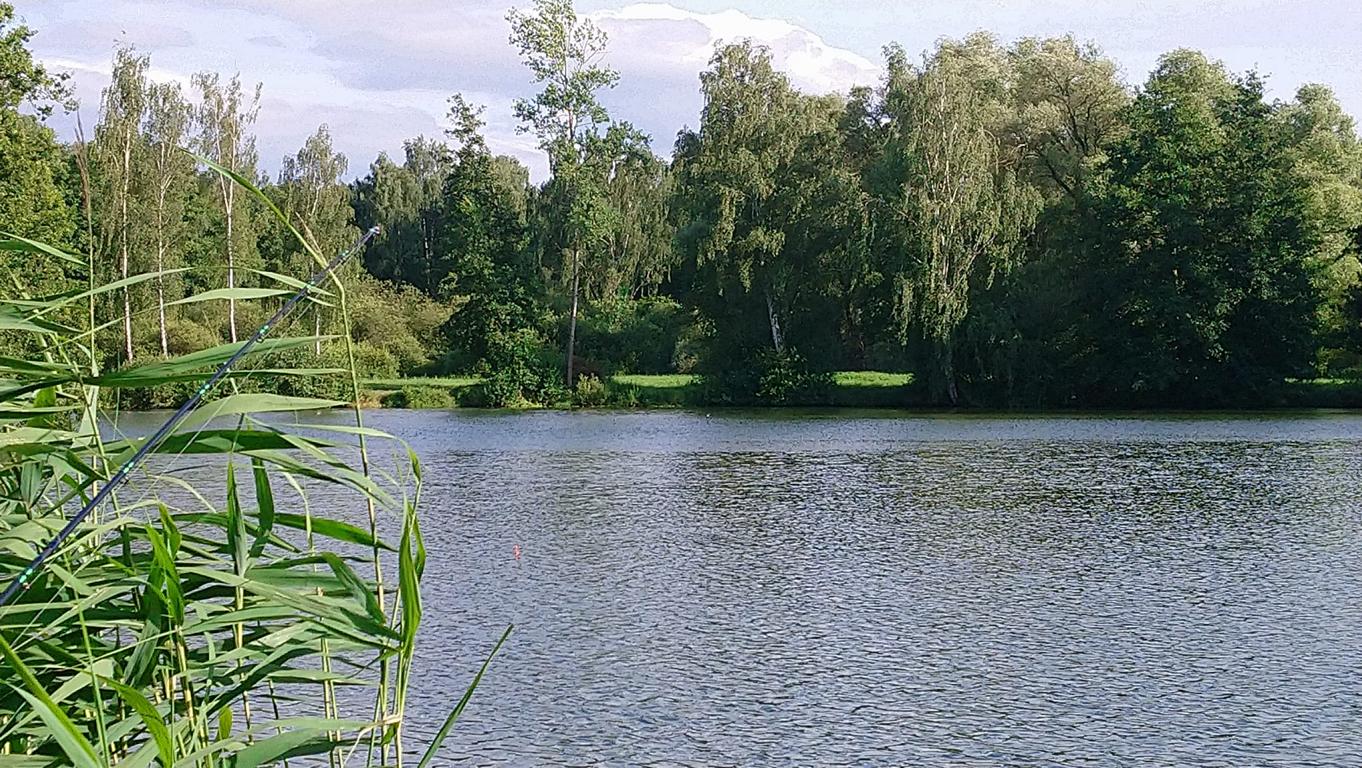Foto Frank Spänig