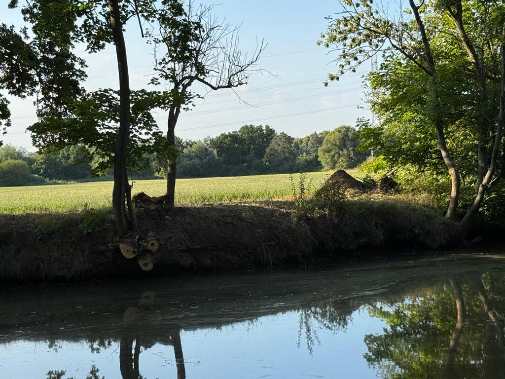 Foto Frank Spänig