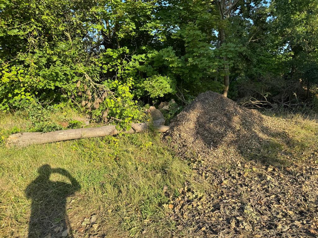 Foto Frank Spänig