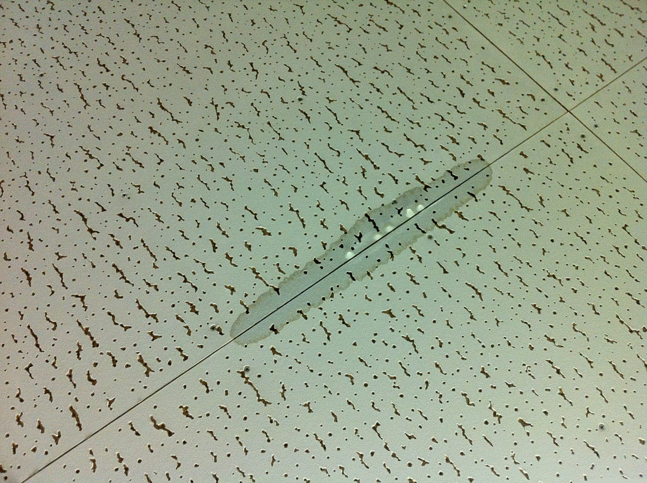 有限会社朝日防水工業