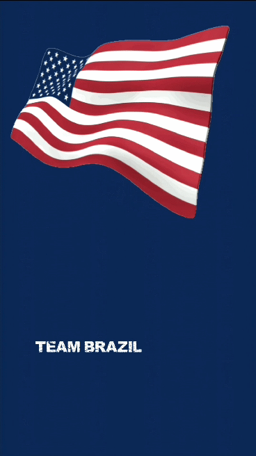 TEAM BRAZIL / World Cup 2026 / AmazonDeinBester089