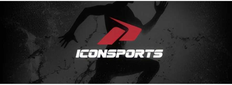 ICON SPORTS World Cup Official
