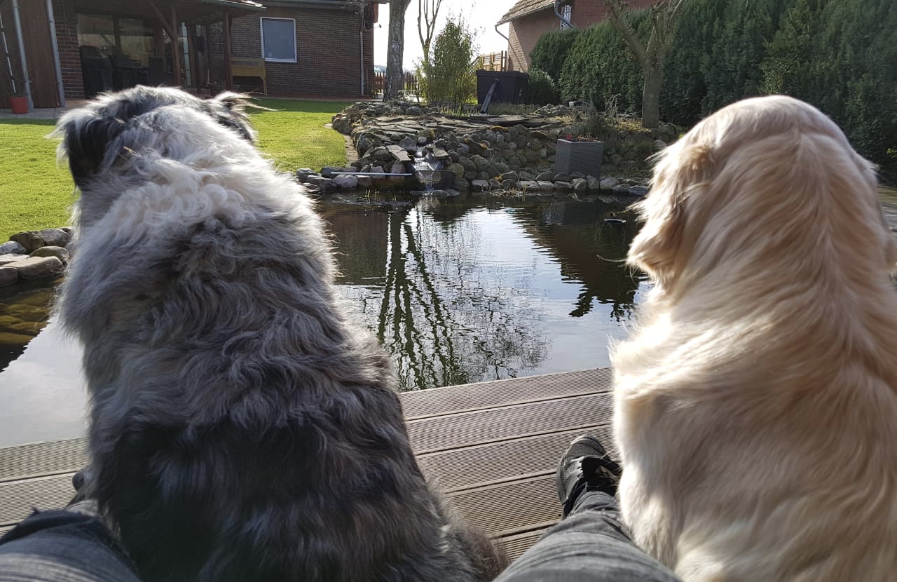 Marley und Xani und ihr Haus am See...