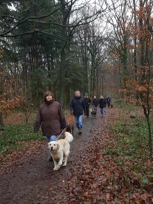 Silvesterspaziergang 2017