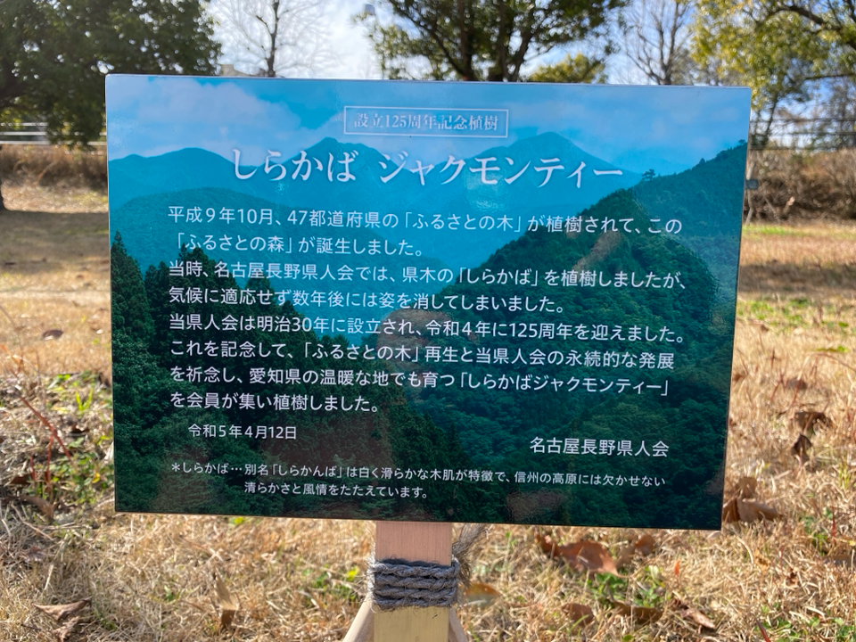 長野県の木　見守り・散策ツアーのご案内