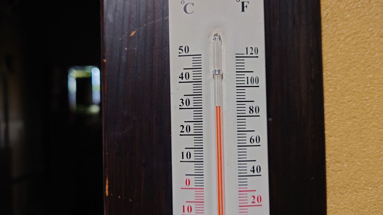 ついに鹿児島の気温３３度！ご当地アイスと冷えたビールに救われる日