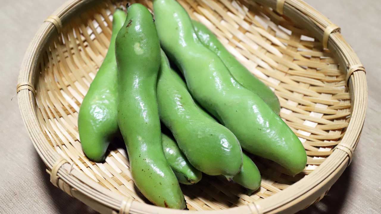 【鹿児島のそら豆】旅先で味わう春のごちそう！地元グルメ