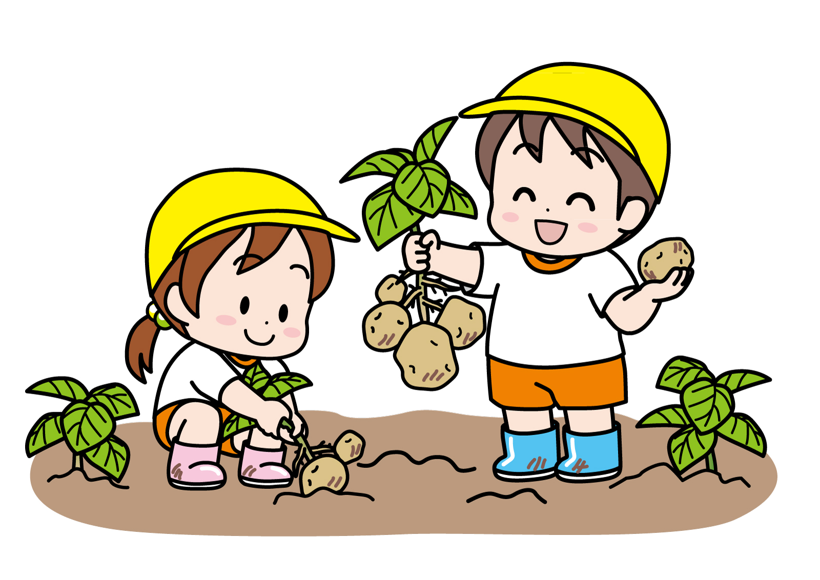 ふれあい ジャガイモ収穫祭